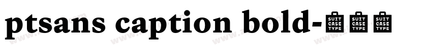 ptsans caption bold字体转换